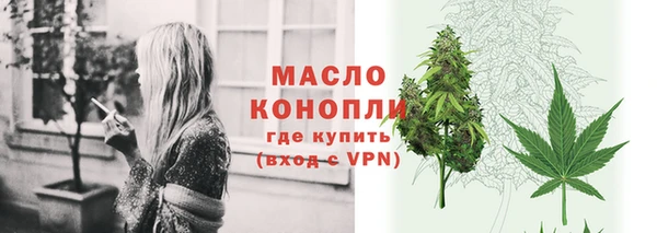 дмт Горняк
