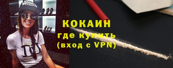 прущие грибы Вяземский