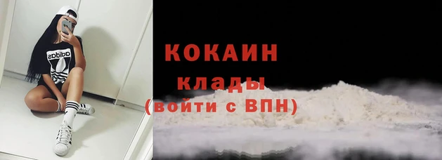 дмт Горняк