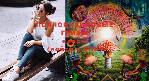 тгк Горнозаводск