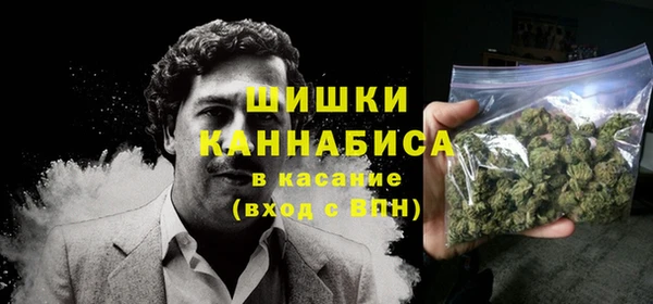 прущие грибы Вяземский