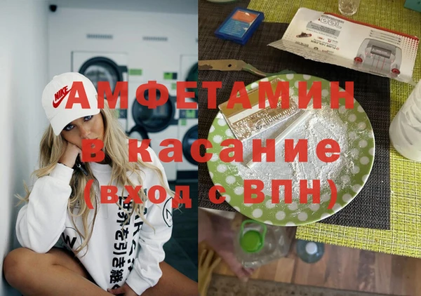 прущие грибы Вяземский