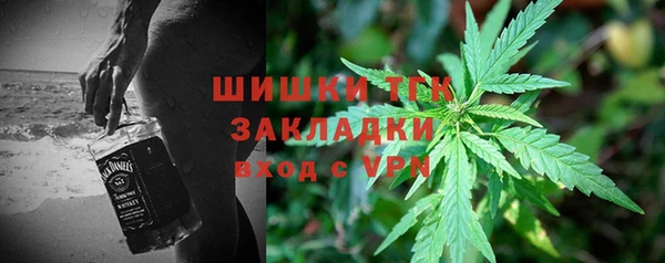 прущие грибы Вяземский