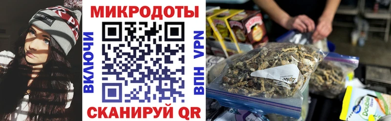 дарнет шоп  мега рабочий сайт  Галлюциногенные грибы GOLDEN TEACHER  Камышин 