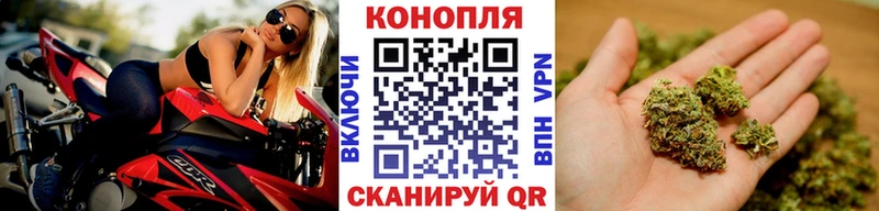 Каннабис конопля Камышин